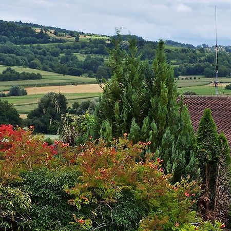 Ferienwohnung Storchenblick Herbolzheim Exterior foto